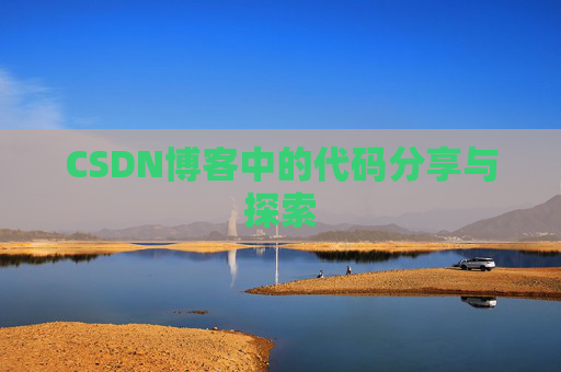 CSDN博客中的代码分享与探索